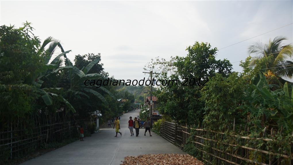 DSC01298