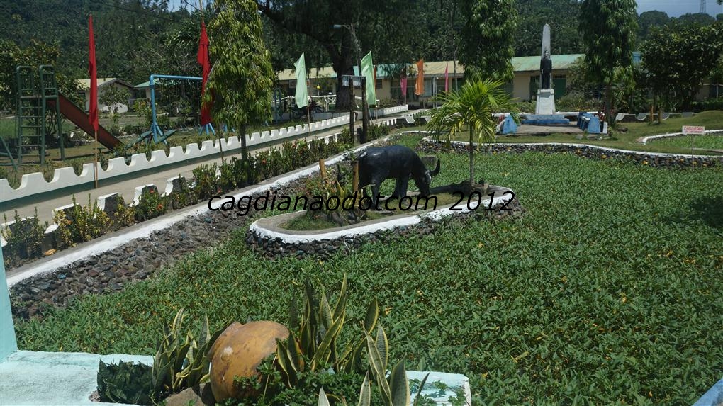 DSC03364