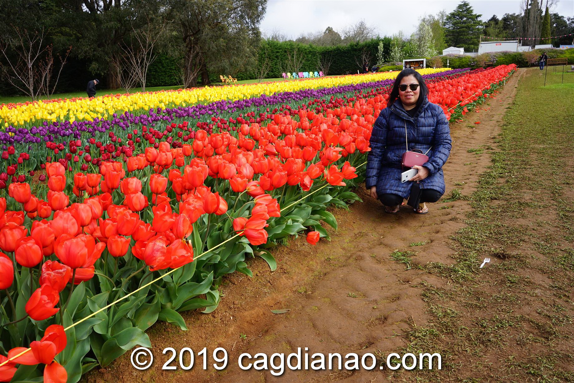 Tessalaars Tulip Farm -September 30 2019