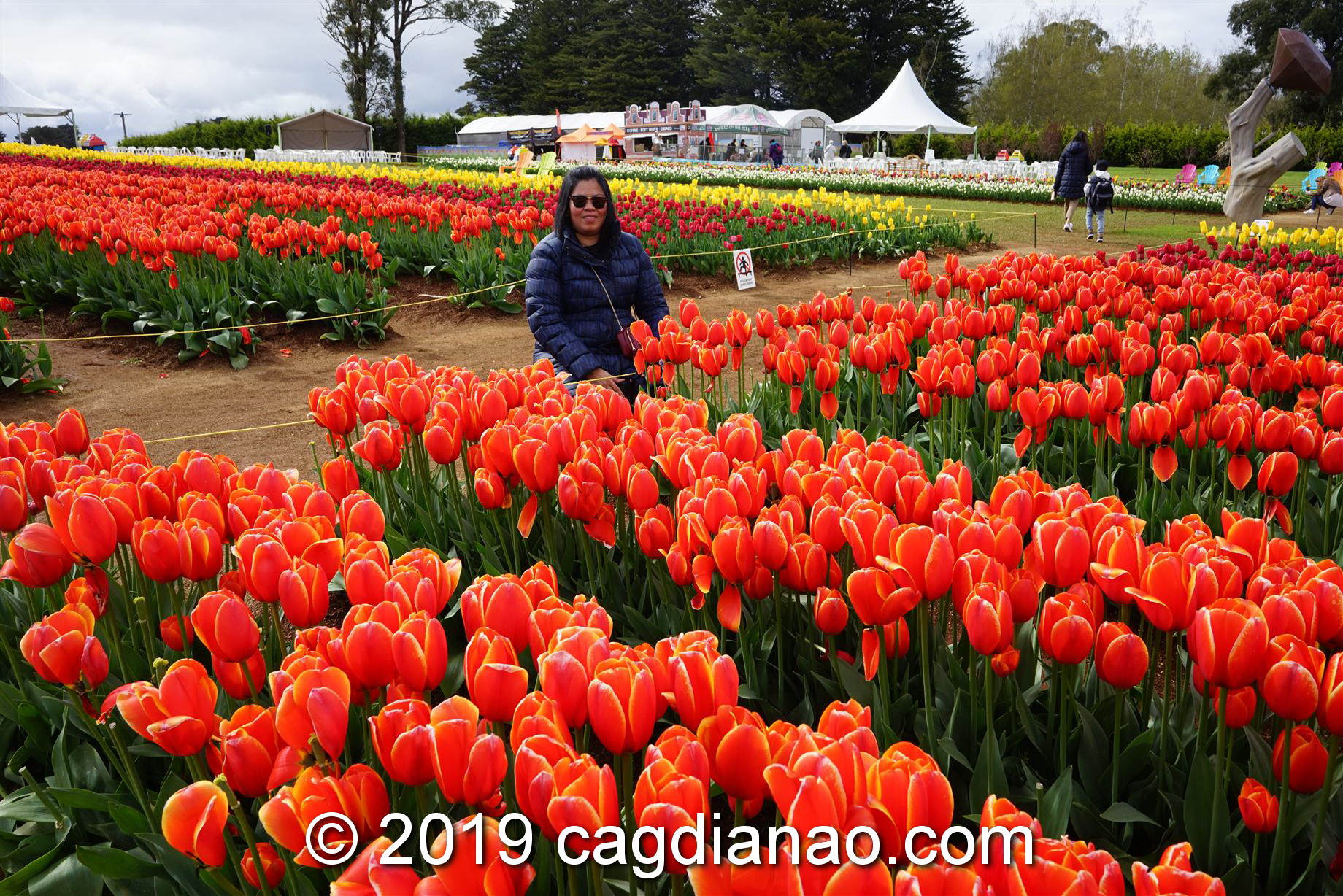 Tessalaars Tulip Farm -September 30 2019