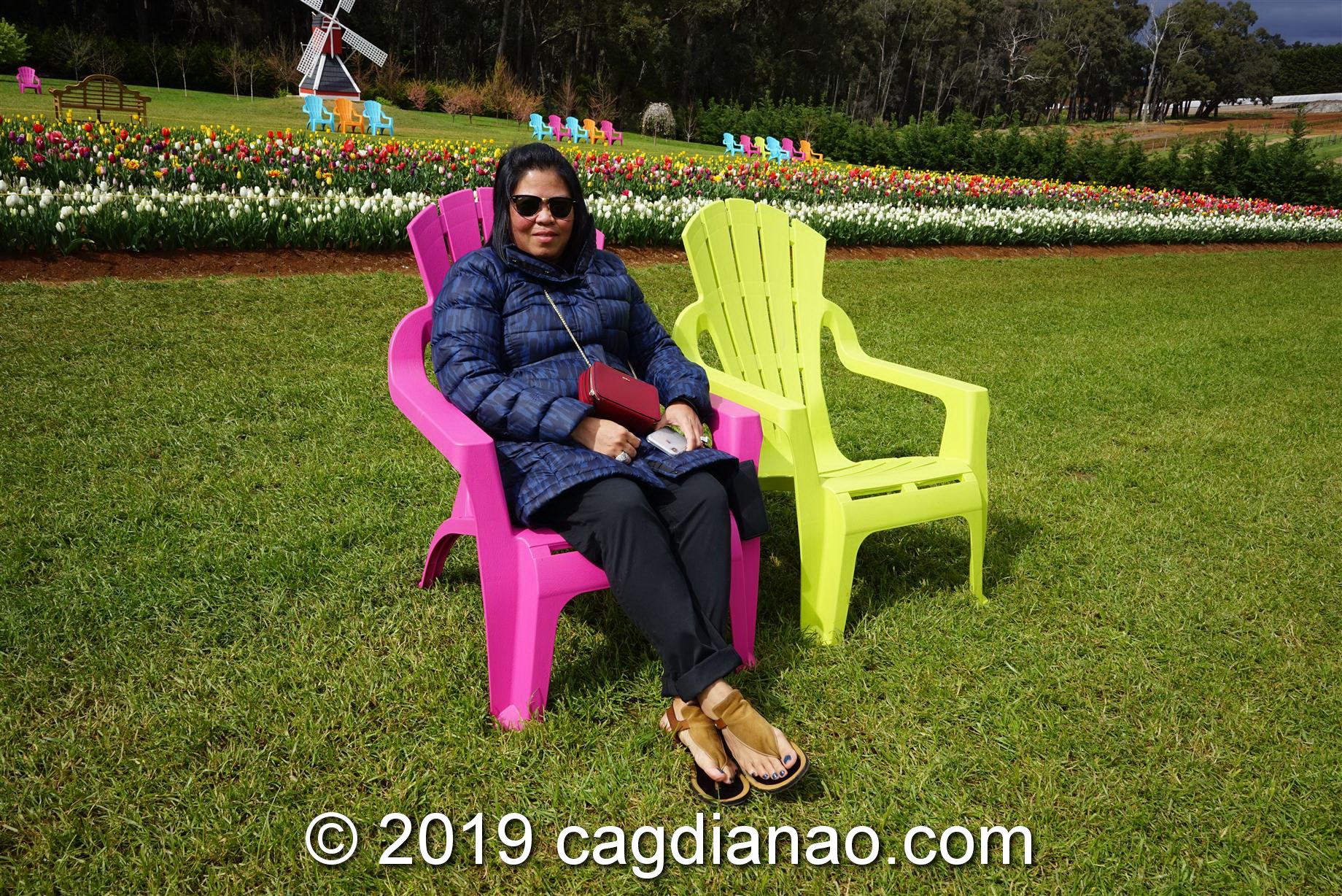 Tessalaars Tulip Farm -September 30 2019