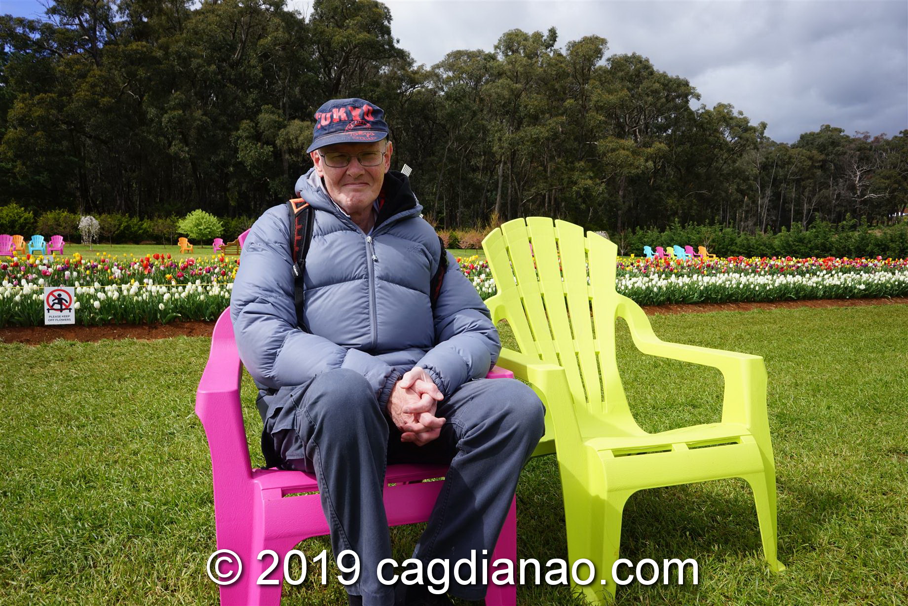 Tessalaars Tulip Farm -September 30 2019