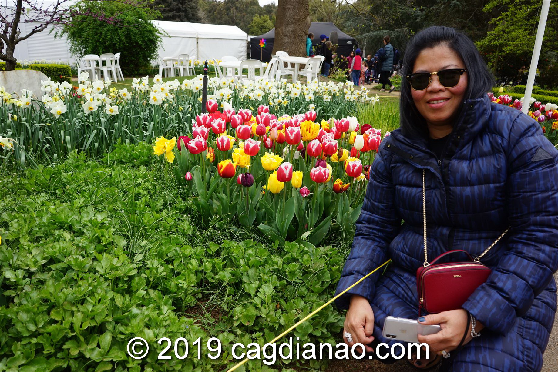 Tessalaars Tulip Farm -September 30 2019