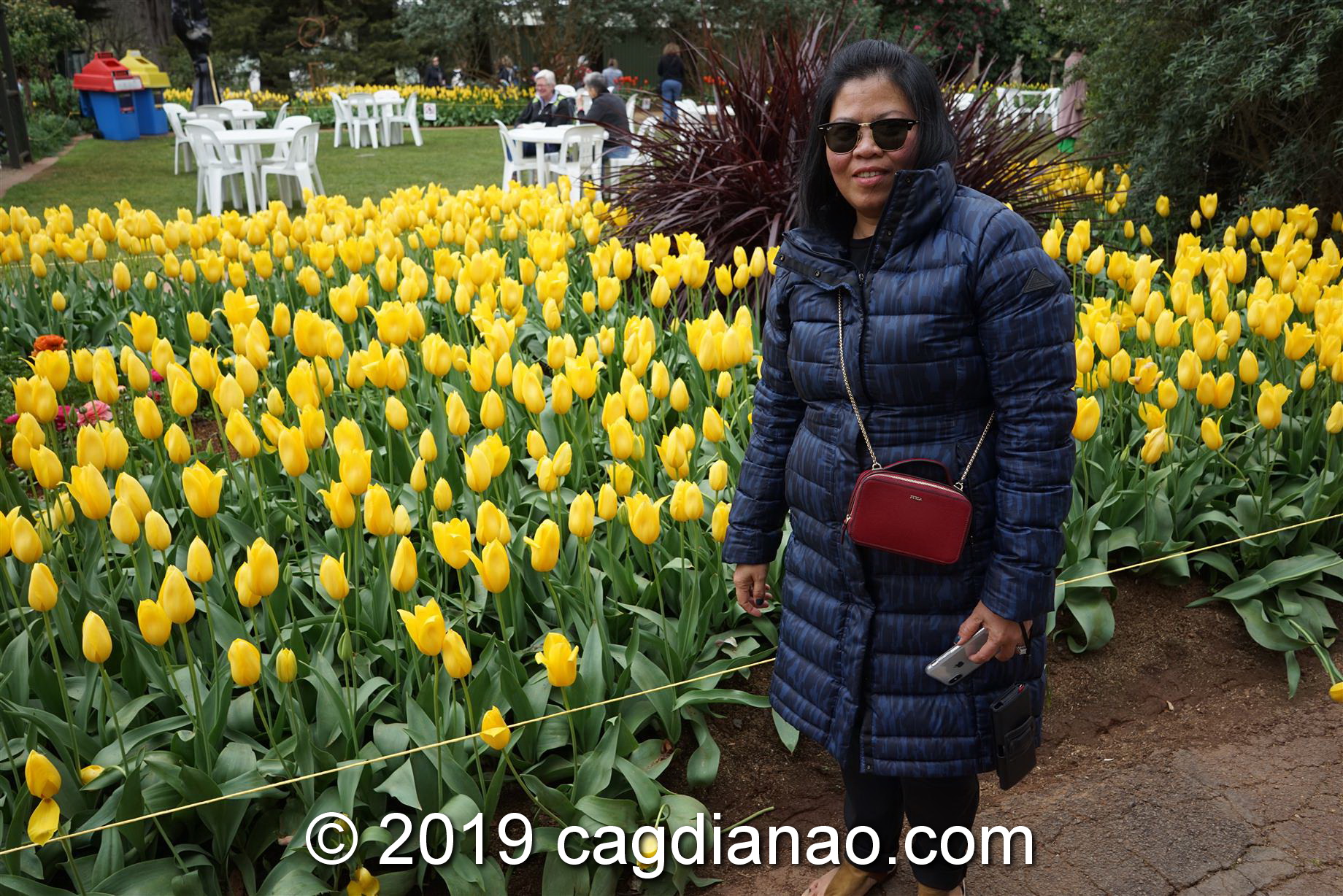 Tessalaars Tulip Farm -September 30 2019