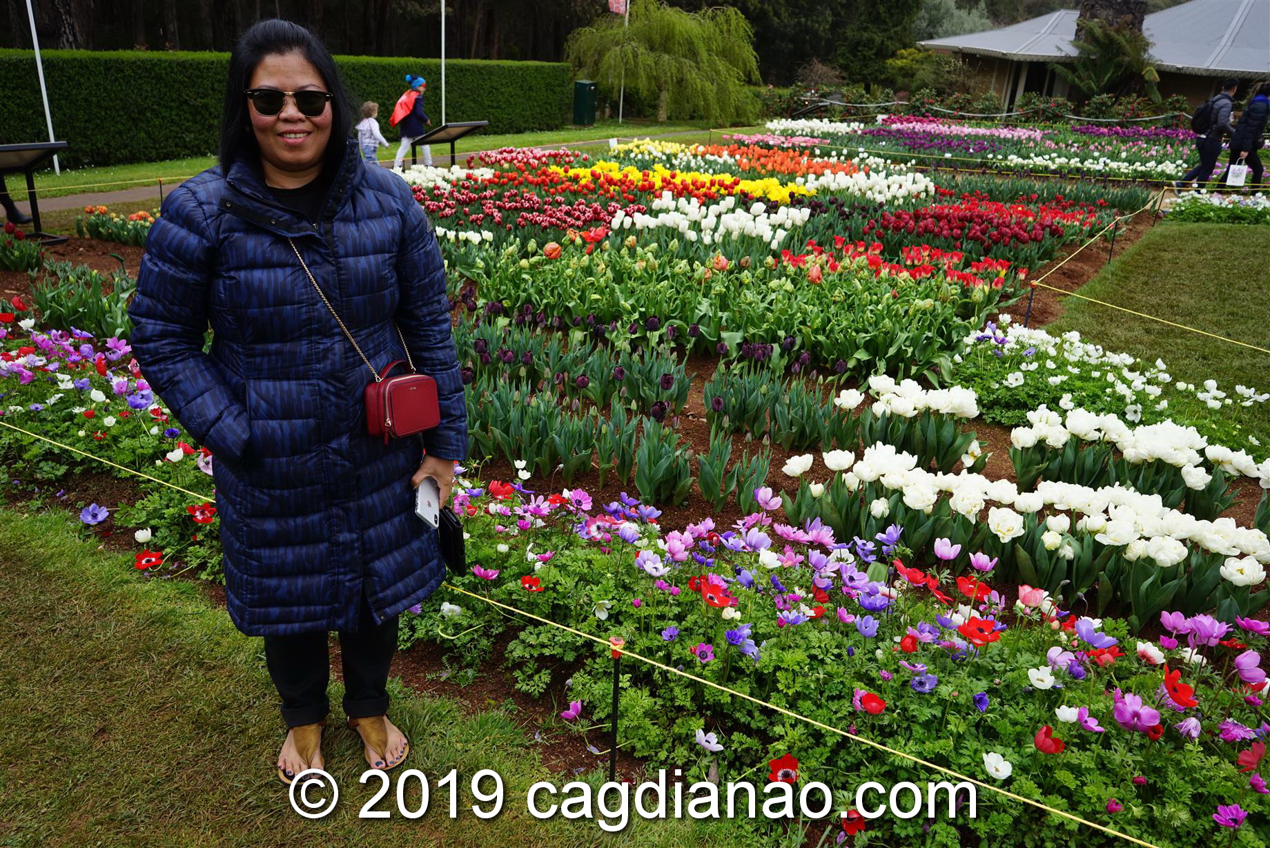 Tessalaars Tulip Farm -September 30 2019