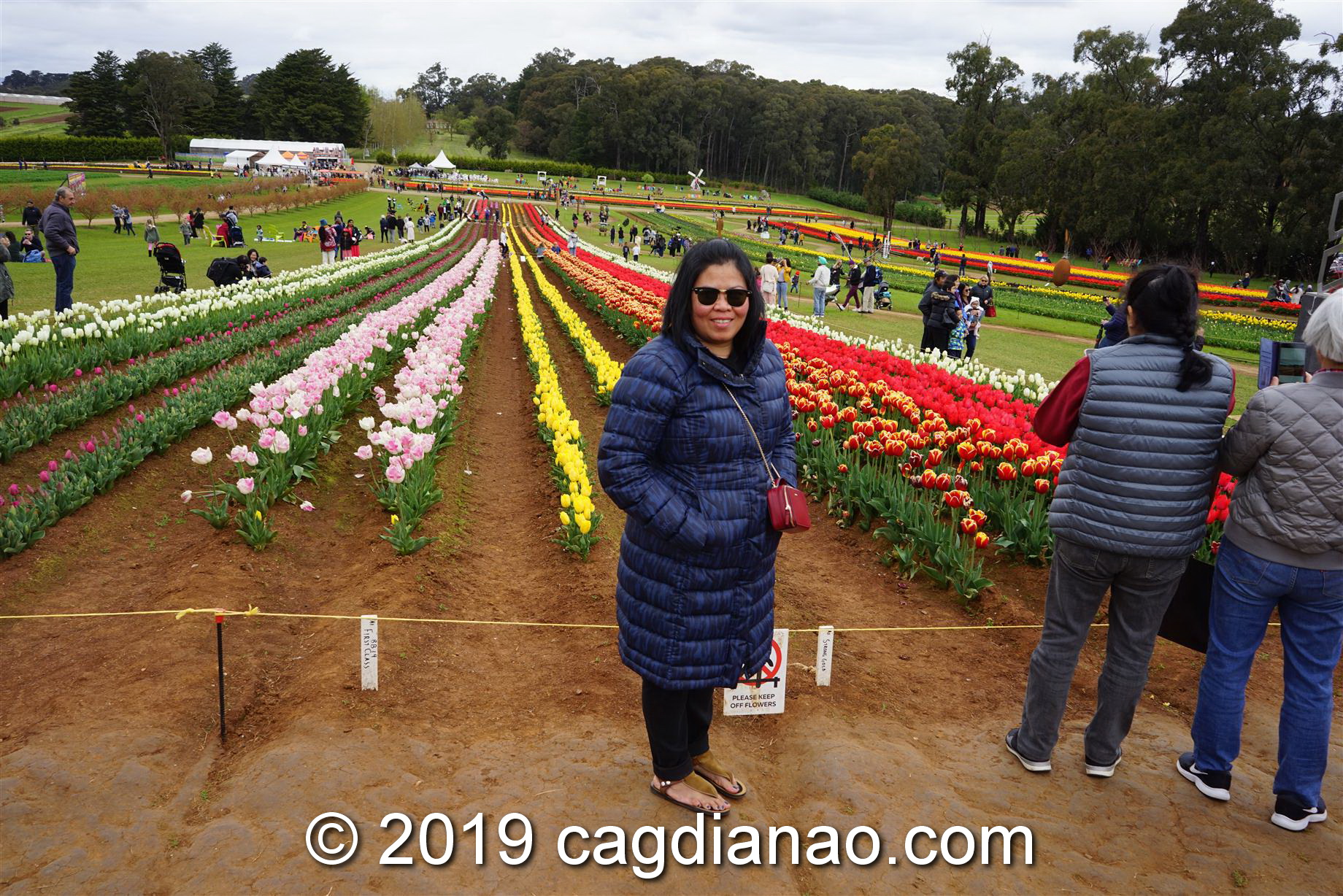 Tessalaars Tulip Farm -September 30 2019