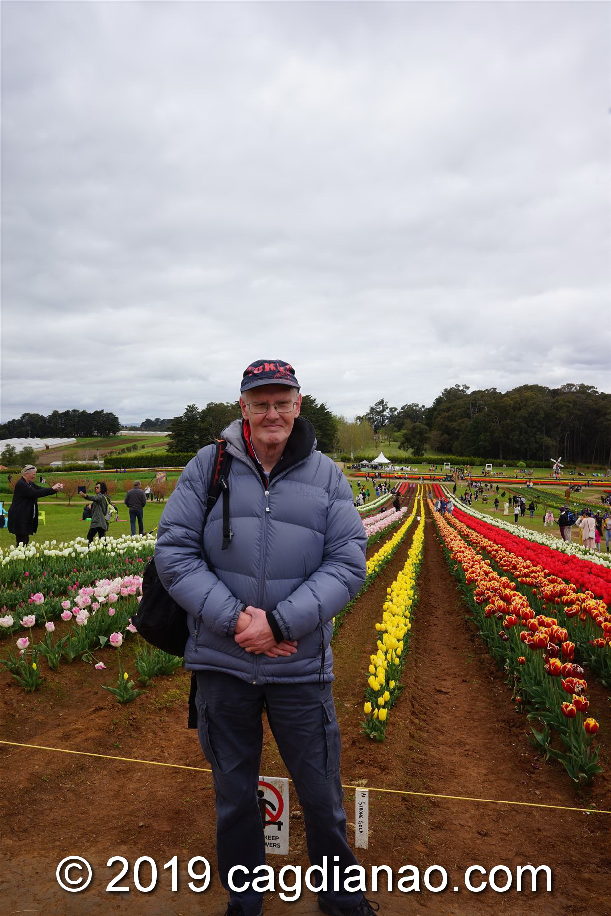 Tessalaars Tulip Farm -September 30 2019