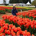 Tessalaars Tulip Farm -September 30 2019