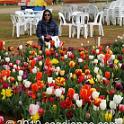 Tessalaars Tulip Farm -September 30 2019