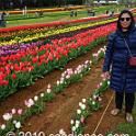 Tessalaars Tulip Farm -September 30 2019