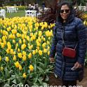 Tessalaars Tulip Farm -September 30 2019