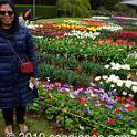 Tessalaars Tulip Farm -September 30 2019