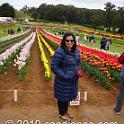 Tessalaars Tulip Farm -September 30 2019