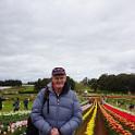 Tessalaars Tulip Farm -September 30 2019